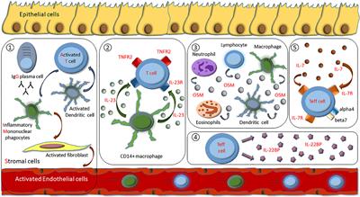 Personalizing Treatment in IBD: Hype or Reality in 2020? Can We Predict Response to Anti-TNF?